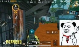 刺激战场吃瓜视频