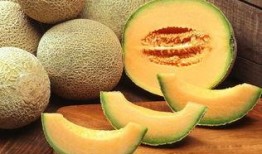 清朝乾隆吃哈密瓜视频播放,穿越时空的皇家美食体验