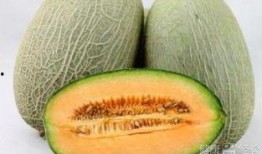 爆笑视频吃哈密瓜是真的吗,爆笑视频中的哈密瓜吃法，真相竟然如此惊人！