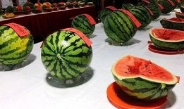 吃瓜群众摆台开饮视频,一场别开生面的视觉盛宴