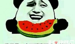 关于吃瓜梗的视频,短视频时代的娱乐现象解析