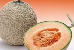 爆笑视频吃哈密瓜是真的吗,爆笑视频中的哈密瓜吃法，真相竟然如此惊人！