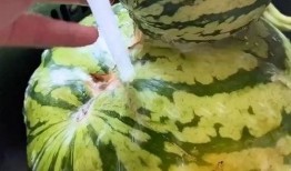 一起吃瓜搞笑视频下载,笑料百出，一起感受欢乐时刻