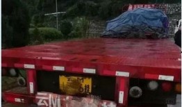 交警处理事故路人吃瓜视频