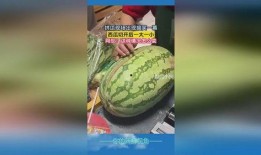 虎扑网络吃瓜现场视频,揭秘热门事件幕后真相