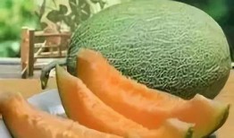 清朝乾隆吃哈密瓜视频播放,穿越时空的皇家美食体验