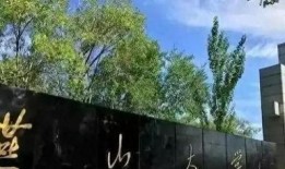 燕山大学吃瓜视频,揭秘校园生活趣味瞬间