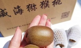 哈密瓜怎样吃最甜呢视频,解锁最甜食用方法