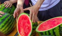 燕山大学吃瓜视频,揭秘校园生活趣味瞬间