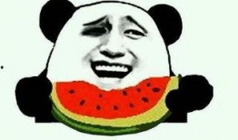 23年吃瓜视频人物,2023年度吃瓜视频风云人物盘点