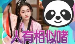 吃大瓜明星视频下载安装