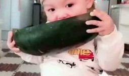 吃茄瓜的小朋友视频,小宝贝品尝茄瓜的欢乐瞬间