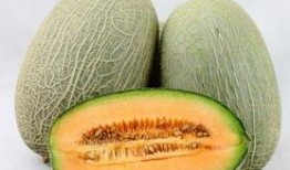 小杨吃哈密瓜视频