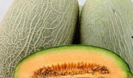 超级宝贝吃哈密瓜视频在线观看,甜蜜滋味尽在视频