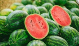 23年吃瓜视频人物,2023年度吃瓜视频风云人物盘点