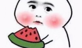 吃瓜送小傻瓜搞笑视频,欢乐无限