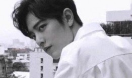 陈情令搞笑吃瓜视频,明星们“误入”美食圈，笑料百出！