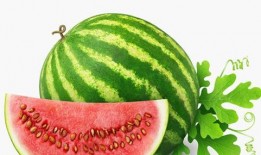 西汉人吃瓜视频,穿越千年的瓜果盛宴