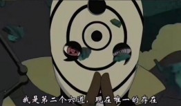 关于吃瓜梗的视频,短视频时代的娱乐现象解析