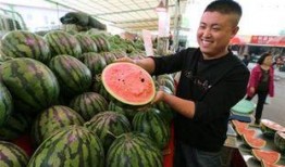 昌乐吃羊蜜瓜视频,甜蜜滋味，视觉盛宴！