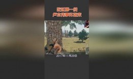 济宁天台吃瓜事件始末视频,一场网络热议的始末揭秘