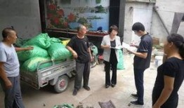 肥乡高庄吃瓜事件视频,一场引发热议的乡村奇观