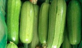 吃西葫芦瓜要削皮吗视频,西葫芦瓜去皮还是留皮？视频揭秘正确食用方法