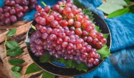 网红吃葡萄瓜视频在线观看,趣味视频引网友热议