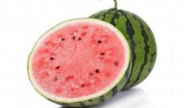 峰哥吃麒麟瓜视频大全下载,视频大全下载攻略