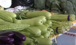 葫芦瓜能干啥吃的呢视频,从家常菜到创意料理