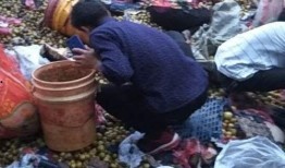 肥乡高庄吃瓜事件视频,一场引发热议的乡村奇观