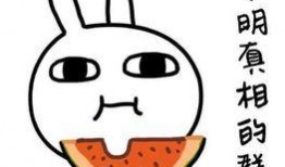 吃瓜笑话视频搞笑素材库,笑料横生！吃瓜笑话视频搞笑素材库精选集锦