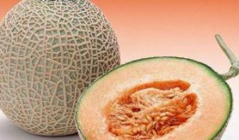 李美丽吃哈密瓜原视频,甜蜜瞬间尽收眼底