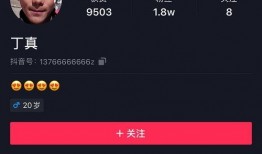 吃瓜博主视频解说大全,揭秘娱乐圈幕后故事