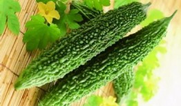 三个人吃角瓜好吗视频,角瓜美食视频大赏