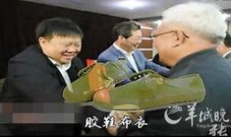 县委书记吃瓜视频大全下载,揭秘官场幕后趣闻