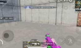 吃鸡吃瓜看视频,尽享休闲时光