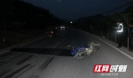 交警处理事故路人吃瓜视频