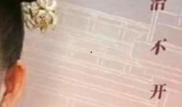 我叫刘金凤吃瓜视频播放,揭秘幕后故事与网友热议