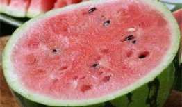 峰哥吃麒麟瓜视频大全下载,视频大全下载攻略