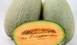 超级宝贝吃哈密瓜视频在线观看,甜蜜滋味尽在视频