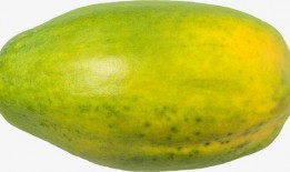 吃绿瓜的视频素材,视频带你领略绿色美味之旅