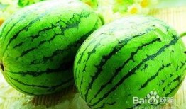 蜗牛吃西瓜哈密瓜视频大全,西瓜哈密瓜大挑战