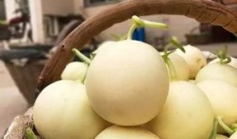 阎良吃瓜视频,揭秘网红美食背后的故事