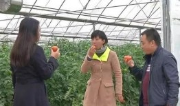 冬天群众吃瓜视频