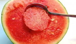 吃瓜勺子视频大全,趣味横生的美食娱乐盛宴