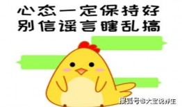 吃瓜笑话视频搞笑素材库,笑料横生！吃瓜笑话视频搞笑素材库精选集锦