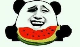 吃瓜中视频,带你领略网络娱乐新风尚