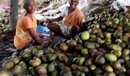 酉阳吃瓜事件视频曝光最新,视频曝光揭示惊人真相