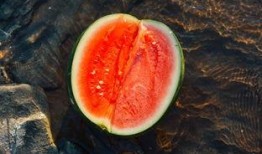 西汉人吃瓜视频,穿越千年的瓜果盛宴